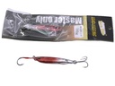 E-903-20g jigging lure WA250746-3