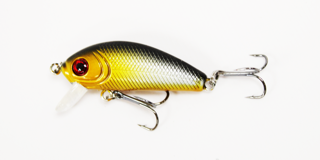 WA1701-2 DWS560 fishing lure