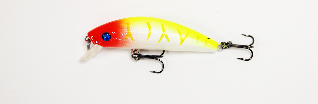 WA1701-4 DWS560 fishing lure