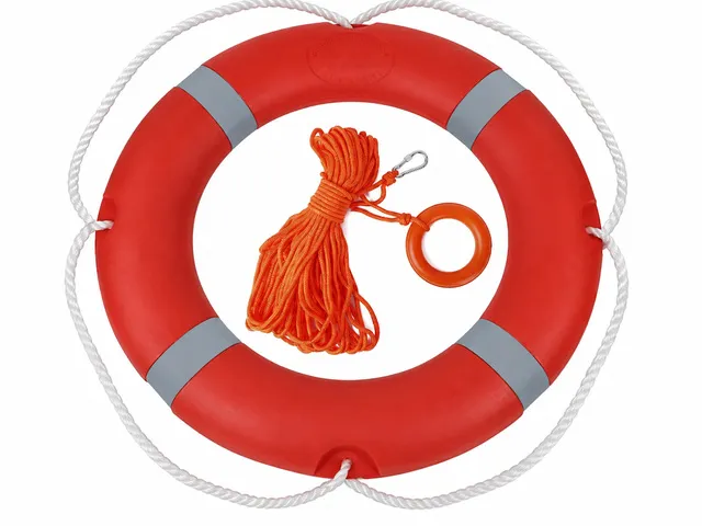 WA260909 HDLR-001 life ring
