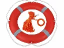 WA260909 HDLR-001 life ring